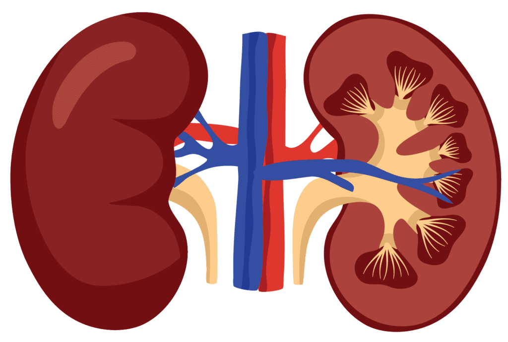 Chronic Kidney Disease - Warning Signs and Early Detection - Frontier ...