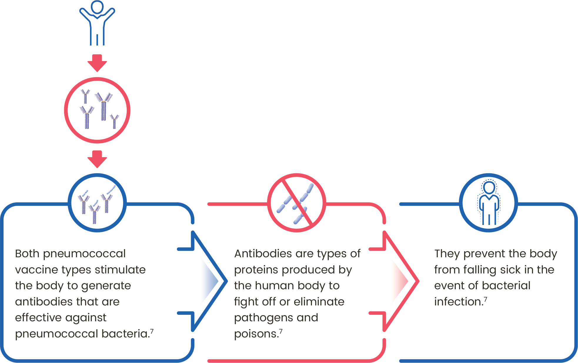 Protect Yourself From Pneumococcal Disease With Vaccination Frontier
