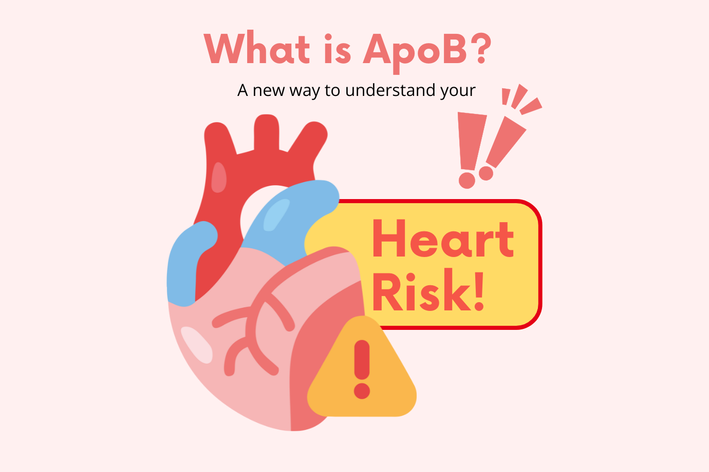 ApoB – Another Way to Assess Heart Health